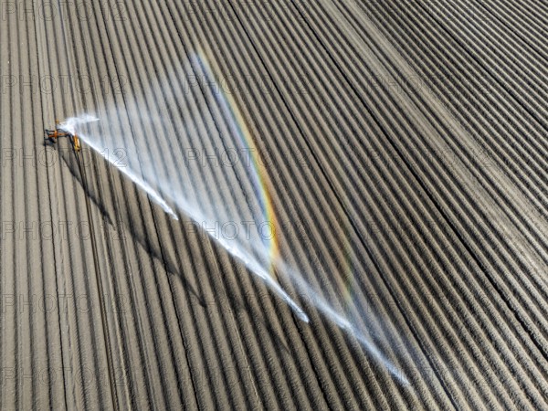 Artificial irrigation of a potato field in April, with a sprinkler system, long drought in spring makes this necessary, for the total of 7.5 hectares 3 full days are needed to get the necessary moisture for the freshly sown potato plants, south of Straelen, Lower Rhine, North Rhine-Westphalia, Germany, Europe