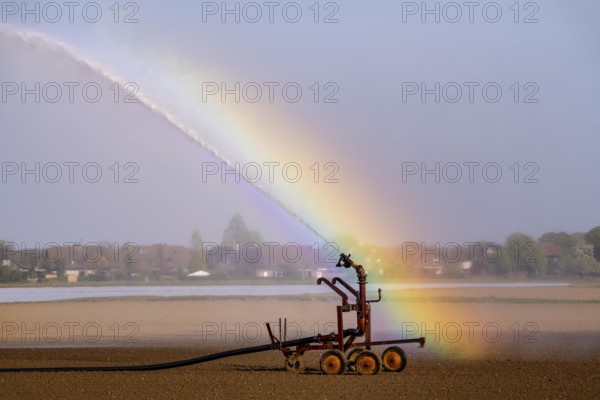 Artificial irrigation of a field, freshly sown, in April, with a sprinkler system, long dry spell in spring makes this necessary for the young plants to grow well, near Kerken, Lower Rhine, North Rhine-Westphalia, Germany, Europe