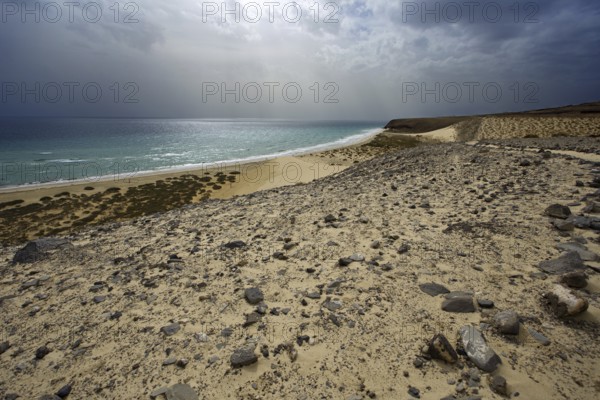 Playa Risco del Paso beach, Playa de Sotavento, Pajara, Fuerteventura, Canary Islands, Spain, Europe