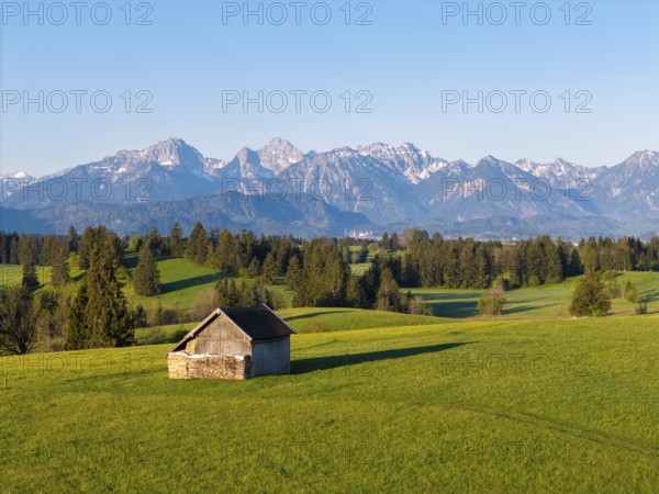 Small hut on a green meadow with an impressive mountain panorama in the background, Alps, near Füssen, Ostallgäu, Allgäu, Bavaria, Germany, Europe