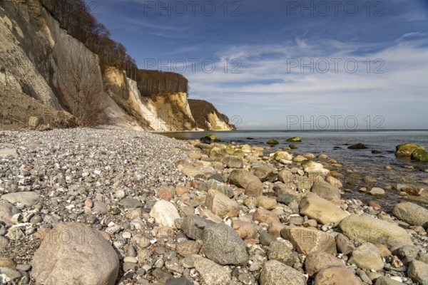 Beach and the chalk cliffs on the Baltic Sea coast in Jasmund National Park, Ruegen Island, Mecklenburg-Western Pomerania, Germany, Europe