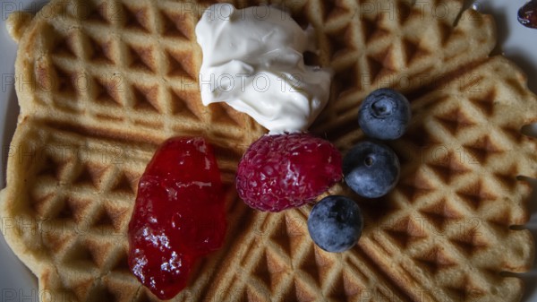 Waffle with raspberry, blueberries, strawberry jam and cream, Kongsvoll or Kongsvold Fjeldstue, historic mountain hut, Drivdalen valley, Dovrefjell, Oppdal municipality, Trøndelag county, Norway, Europe
