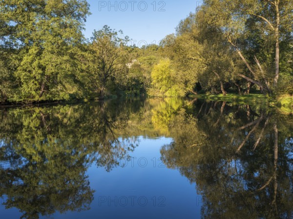 Trees reflected in the river Saale in the Saale valley not far from the Dornburg castles, Dornburg-Camburg, Thuringia, Germany, Europe