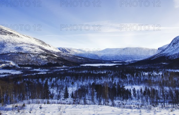 Snow-covered forests and mountains under a clear blue sky, Norway, Europe