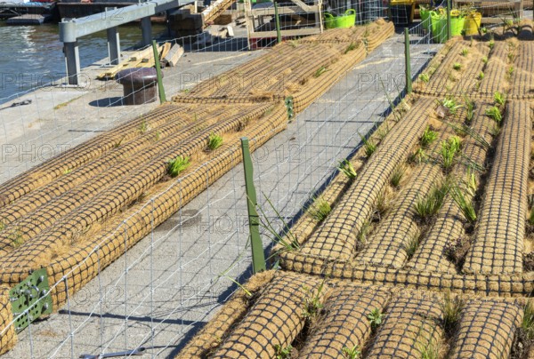 Biomatrix floating plant ecosystem products being prepared for use in the Floating Harbour, Bristol, England, UK