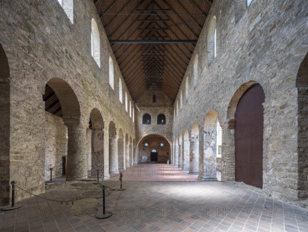 Leitzkau Renaissance castle and monastery, interior of the Romanesque monastery church, seat of the Saxony-Anhalt Cultural Foundation, Leitzkau, Saxony-Anhalt, Germany, Europe