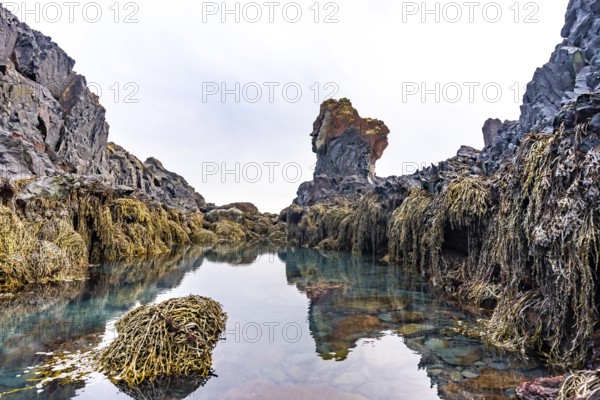 Rock formations by the sea at Djupalonssandur beach on the Snaefellsnes peninsula in winter in Iceland