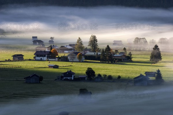 Morning atmosphere, fog near Oberstdorf, Oberallgäu, Bavaria, Germany, Europe