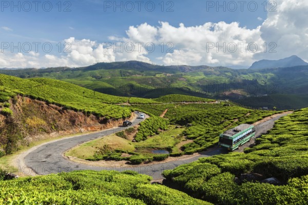 Passenger bus on road in tea plantations, Munnar, Kerala state, India, Asia