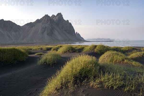 Black beach with volcanic sand, sandy beach, dunes with grass, Stokksnes headland, Klifatindur mountain range, Austurland, East Iceland, Iceland, Europe