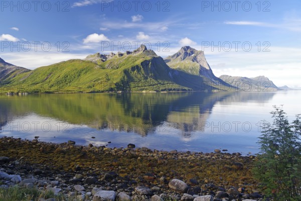 Steep mountains reflected in the sea, fjord, shore, Kystriksveien, FV 17, Helgeland, Nordland, Norway, Europe