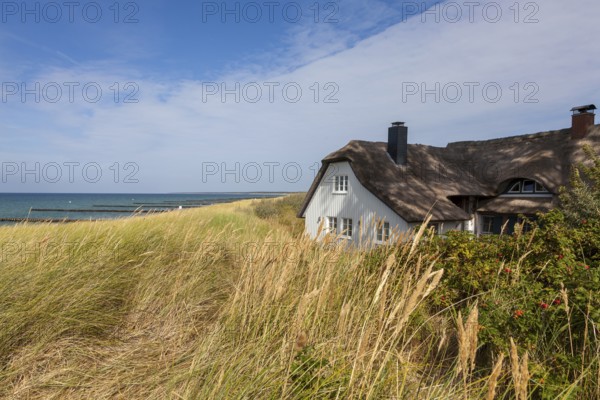 Thatched roof house in the dunes on the beach, Baltic Sea, Ahrenshoop, Fischland, Mecklenburg-Western Pomerania, Germany, Europe