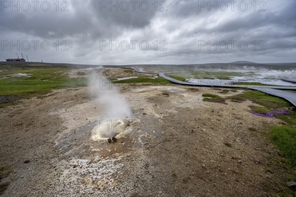 Steaming hot spring, Hveravellir geothermal area, Icelandic Highlands, Suðurland, Iceland, Europe