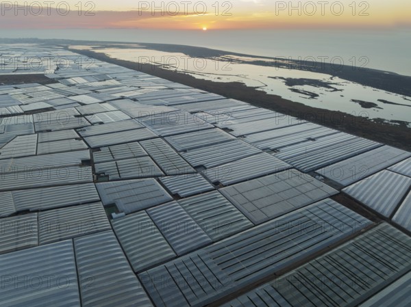 Masses of shimmering plastic greenhouses at the coast of El Ejido aside with the lagoon Salinas de Cerrillos, at sunrise, aerial view, drone shot, Almería province, Andalusia, Spain, Europe