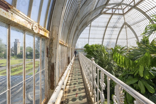 Palm House, oldest Victorian greenhouse in the world, Royal Botanic Gardens, Kew, London, England, Great Britain