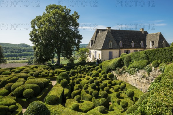 Boxwood garden, Les Jardins de Marqueyssac, Vezac, Dordogne, Périgord, Département Dordogne, Region Nouvelle-Aquitaine, France, Europe