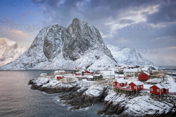 Famous tourist attraction Hamnoy fishing village on Lofoten Islands, Norway with red rorbu houses. With falling snow in winter on sunrise