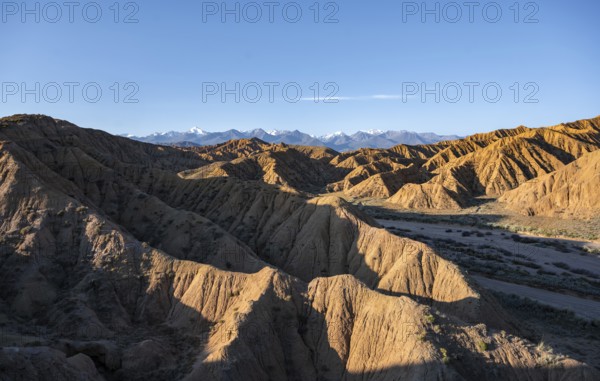 Landscape of eroded hills at sunrise, badlands, white mountain peaks of the Tian Shan Mountains in the background, Canyon of the Forgotten Rivers, Issyk Kul, Kyrgyzstan, Asia