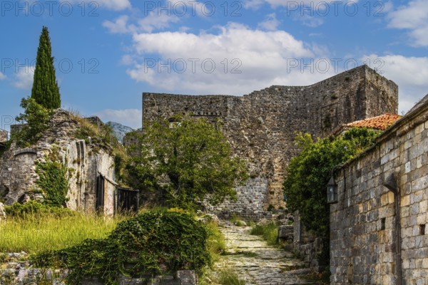 Xxx, Ruined city of Stari Bar, originally from the 11th century, is one of the most culturally and historically valuable sites in Montenegro, Stari Bar, Montenegro, Europe