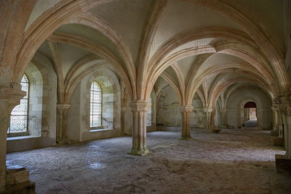Ceiling arches, Fontenay Cistercian Abbey, Unesco World Heritage Site, Cote d'Or, Burgundy, France, Europe