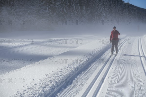 Perfect track on the cross-country circuit alte Mühle, Ramsau am Dachstein, Styria, Austria, Europe