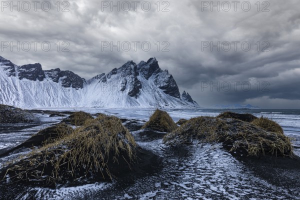 Black sand dunes with reed remains, behind them snowy rocky slopes of Vestrahorn, near Höfn, Sudausturland, Iceland, Europe