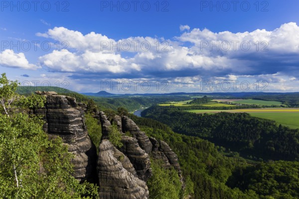 Schrammsteine in the Elbe Sandstone Mountains