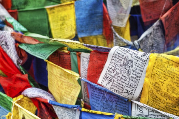 Tibetan Buddhism prayer flags (lungta) with Om Mani Padme Hum Buddhist mantra prayer. Leh, Ladakh, Jammu and Kashmir, India, Asia