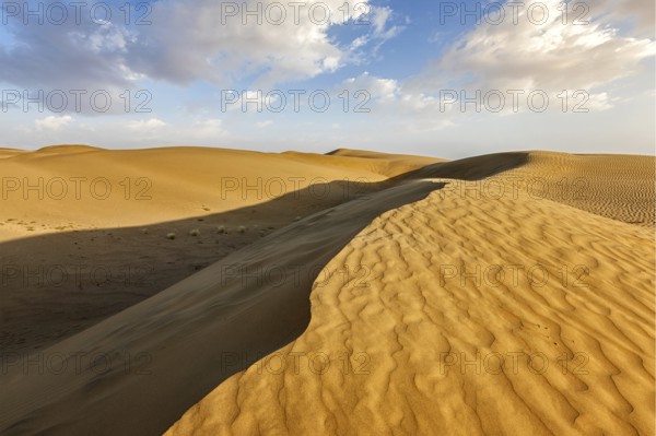 Sam Sand dunes in Thar Desert. Rajasthan, India, Asia