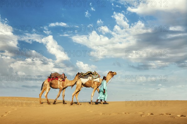 Rajasthan travel background, Indian cameleer (camel driver) with camels in dunes of Thar desert. Jaisalmer, Rajasthan, India, Asia
