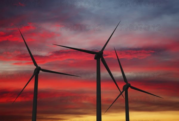 Green renewable energy concept, wind generator turbines in sky on sunset