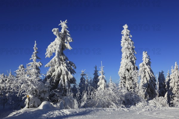 Winter landscape in the Fichtelgebirge, Bayreuth district, Upper Franconia, Bavaria, Germany, Europe