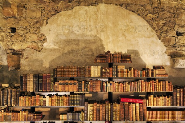 Old books, library in the former Augustinian monastery Dalheim, interior photograph, LWL, Landesmuseum für Klosterkultur, Lichtenau, Paderborn, Germany, Europe