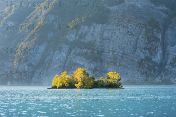 Small chive island in the turquoise waters of Lake Walen, Canton St. Gallen, Switzerland, Europe