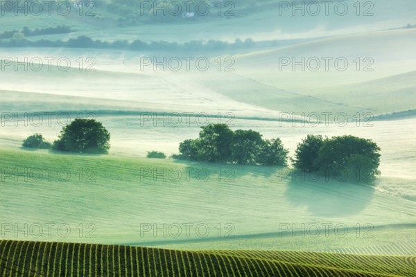 Moravian rolling fields landscape in morning mist. Moravia, Czech Republic, Europe