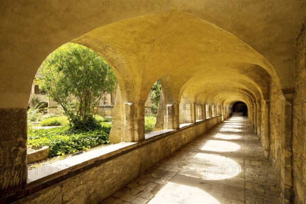 Cloister with view through the cemetery to the Thousand Year Rosebush, Mariendom, Hildesheim, Lower Saxony, Germany, Europe