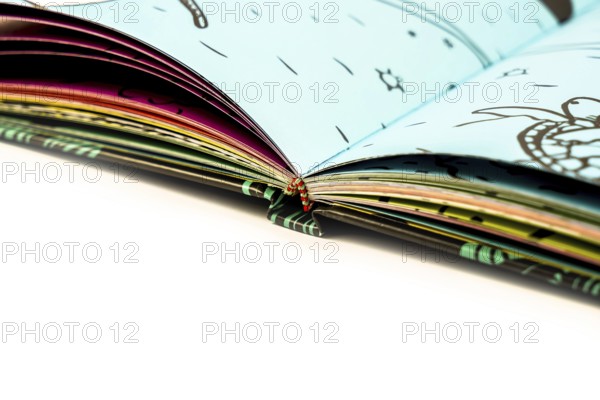 Detail of a hardcover book with the notebooks sewn with threads and glued on the spine, binding in the graphic sector, traditional printing press