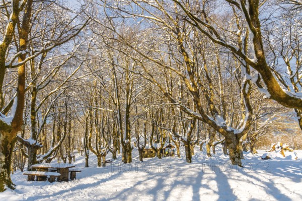 Beautiful refuge in the Oianleku natural park in the town of Oiartzun next to Peñas de Aya, Gipuzkoa. Basque Country
