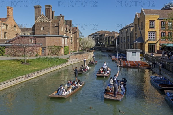 Punting, punting, Magdalene College, River Cam, Cambridge, England, Great Britain