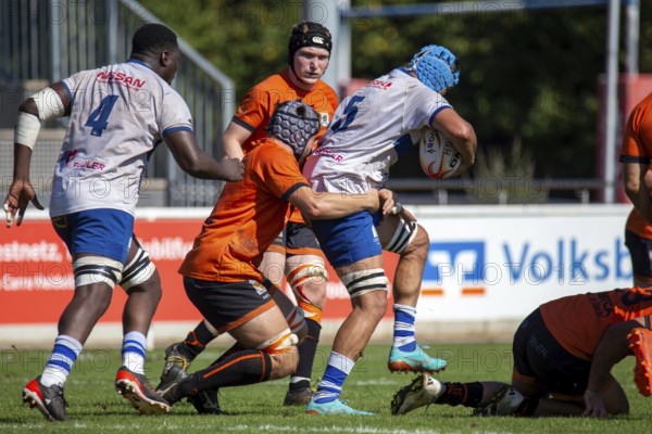 07.09.2024, Rugby 1st Bundesliga South/West, Season 2024/25, Matchday 1: RG Heidelberg vs TSV Handschuhsheim