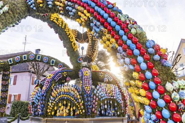 The Easter fountain in Schechingen has around 13, 000 hand-painted eggs. This makes it one of the largest and most beautiful in the whole of East Württemberg. Around 50, 000 visitors admire the decorated village fountain every year. Schechingen, Ostalbkreis, Baden-Württemberg, Germany, Europe