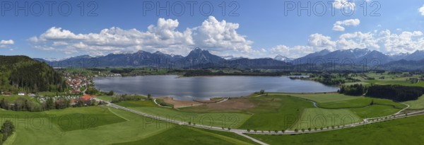 Expansive landscape with a view of Lake Hopfensee and mountains, surrounded by green meadows and a blue sky with clouds, Alps, Hopfen am See near Füssen, Ostallgäu, Allgäu, Bavaria, Germany, Europe