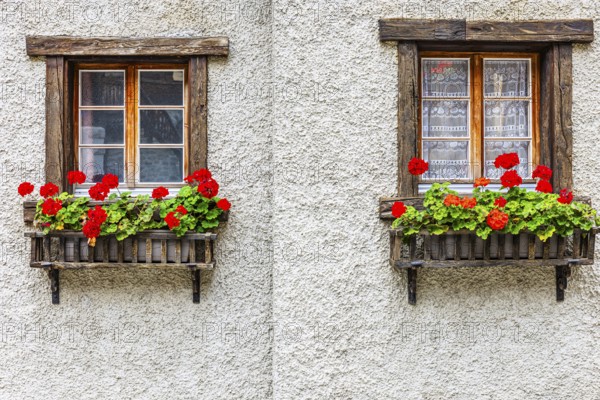 Flower boxes in front of old wooden windows in the historic village centre, Grimentz, Val d'Anniviers, Valais Alps, Canton Valais, Switzerland, Europe