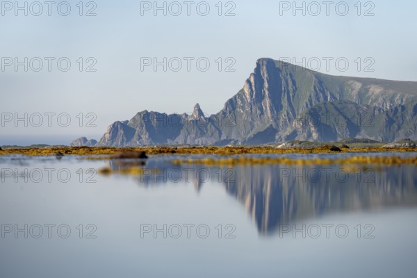 View of coastal landscape with reflection, steep coast with peak Måtind, Andøya island, Vesterålen, Nordland Norway