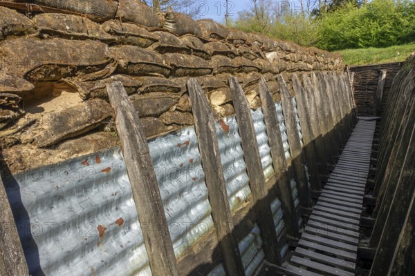 British WW1 trench showing wooden duckboards on A frames, sandbags and sheets of corrugated iron at the Passchendaele Museum, Zonnebeke, Belgium, Europe