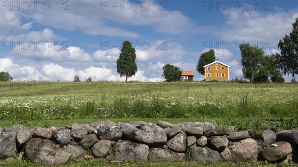 Falun red and Swedish yellow wooden house, stone wall, trees, meadow, blue sky, clouds, at Lake Mjosa near Hamar, Norway, Europe