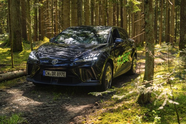 Black car in the forest on a sunny path with shade, Deer E- Carsharing, Calw, Black Forest, Germany, Europe