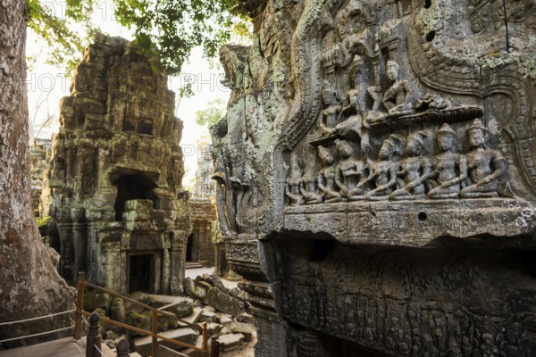 Ta Prohm, Angkor Wat, Angkor, UNESCO World Heritage Site, Siem Reap, Cambodia, Indochina, Southeast Asia, Asia