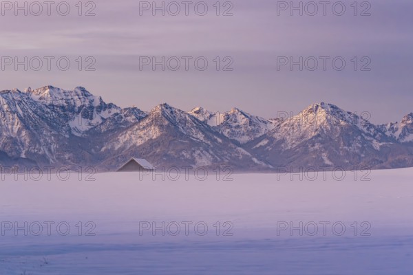 Winter landscape in the Allgäu near Halblech at sunrise