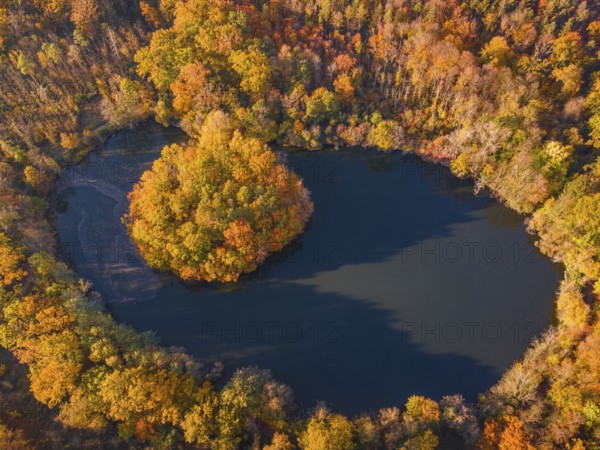 The leaves on the trees around the Gänseweiher pond near Maintal-Bischofsheim, close to Frankfurt am Main, have turned a colourful autumnal hue. Some trees have already shed their leaves. The light of the autumn sun bathes the landscape in golden light. (Aerial photo taken with a drone), Gänseweiher, Maintal-Bischofsheim, Hesse, Germany, Europe